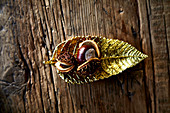 Autumn leaves with chestnut on a wooden background