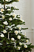 Mit weißen Rosen und weißen Kerzen geschmückter Weihnachtsbaum