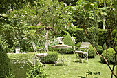 Sitzplatz im Garten zwischen Buchs und Rosen