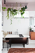 Houseplants in hanging baskets suspended from grille above bathtub