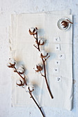 Branches of cotton bolls on white cotton fabric