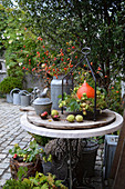 Herbstdeko im Innenhof mit Kürbis, Hagebutten, Hopfenranke und Kastanien