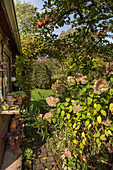 Path to summer house leading through rose arch with hydrangea under apple tree