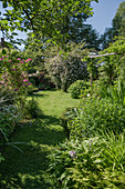 Garten im Sommer mit Rosen und Stauden
