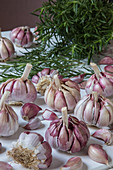 Fresh garlic bulbs, some peeled