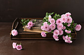 Pink asters on antique wooden tray