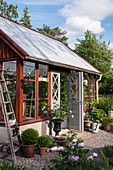 Falu-red greenhouse in summery garden