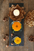 Herbstliches Arrangement aus gelben Astern in Gläsern und Papierblüte als Kerzenhalter