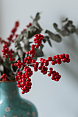 Sprigs of red holly berries and eucalyptus in blue vase