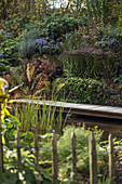 Pond with wooden bridge and shrubs in late summer garden