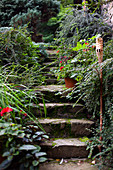 Stone steps in lush garden