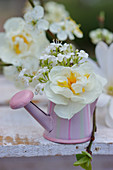 Narcissus 'Bridal crown' and hairy rockcress flowers in miniature watering can