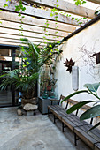 Bench and potted plants on terrace with concrete floor