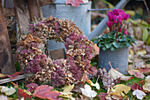 Autumn wreath made from dried hydrangea flowers, sedum plant, cones, and hay
