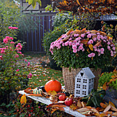 Autumnal arrangement with chrysanthemums planted in basket, pumpkins and zinc house-shaped ornament