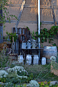Still-life arrangement of zinc watering cans, milk churns and wooden barrel against barn wall