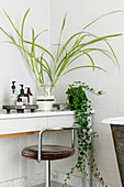 Plants and cosmetics on dressing table with old swivel chair