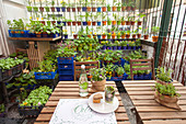Kleines Restaurant gestaltet als Kräutergarten mit frischen Kräutern in Kisten und Töpfen