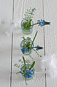 Blue grape hyacinths and forget-me-nots in three glass vases
