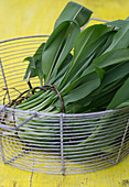 Basket with freshly harvested wild garlic