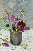 Small decoration with pasque flower and Cornelian cherry