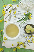 Snowdrops, cornelian cherry, spring tea and pistachio biscuits on sheet music