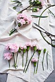Pink carnations, fabric and metal ring for making wreath