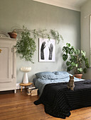 Cat on bed and large houseplants in simple bedroom