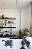 Cat on bed with white bed linen, wall shelves with books and houseplants in the corner