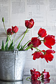 Bouquet of wilting tulips in zinc bucket