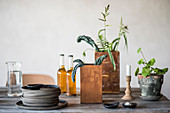 Rustikaler Holztisch mit Tellerstapel, Getränke, Zimmerpflanzen und Kerze