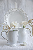 White carnations and imitation amaranth