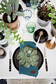 Set table decorated with potted houseplants and succulent leaves on plates