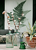 Branches of cotton bolls and potted agave in front of wall hanging with fern motif