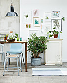 Holztisch mit Stühlen, Zimmerpflanzen und botanische Bilder an der Wand
