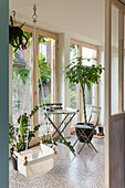 Bistro table in conservatory with hanging basket and houseplants