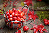 Basket of red crab apples