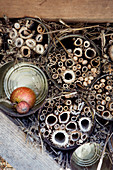 DIY insect hotel made from plant stalks in tin cans