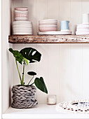 Monstera in a planter made of chunky wool under the crockery shelf