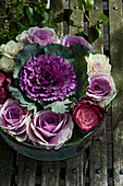 Autumnal arrangement of large and small red ornamental cabbages in zinc tub