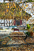 Gartenmöbel unterm Baum im Herbst-Garten vorm Fachwerkhaus