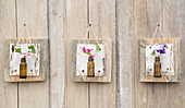 Violets in tiny bottles mounted on wooden boards on wall