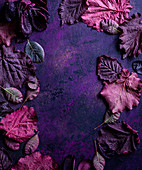 Frame of purple leaves on purple surface