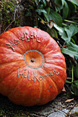 Pumpkin 'Roter Zenter' with welcome message