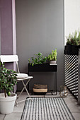 Plant stand and folding chair on balcony with grey wall