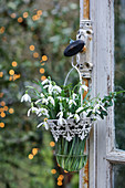 Posy of snowdrops in vintage-style glass vase