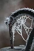 Frosty spiderweb in handle of a garden pump