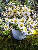 Bouquet of chamomile in enamel pot