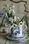 Snowdrops in blue-and-white cup