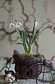 Snowdrops and moss wrapped in felt